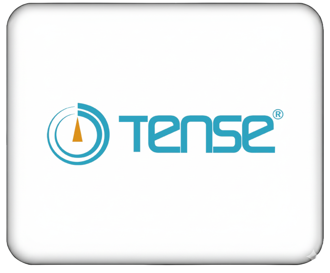 TENSE
